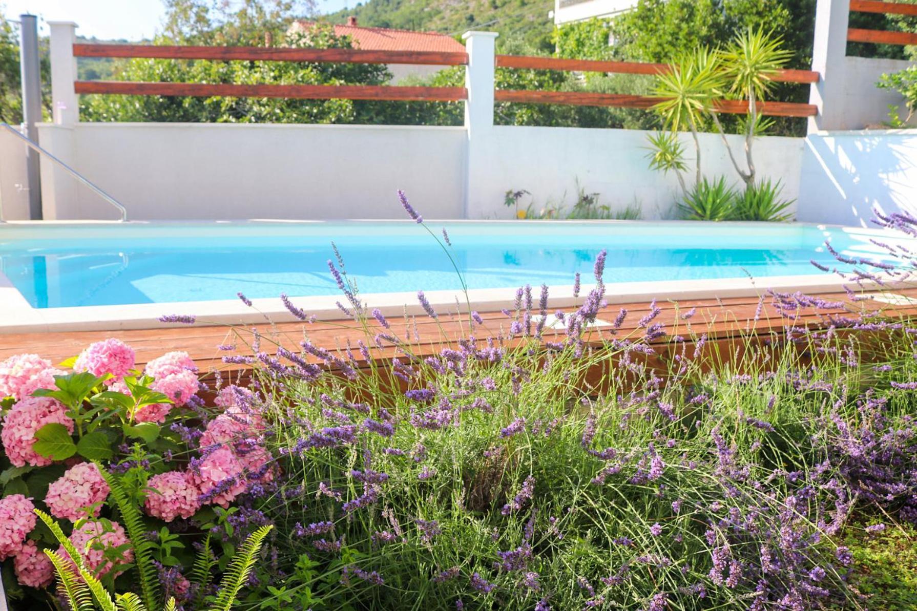 Villa My Rose With A Private Pool Mlini Exteriér fotografie